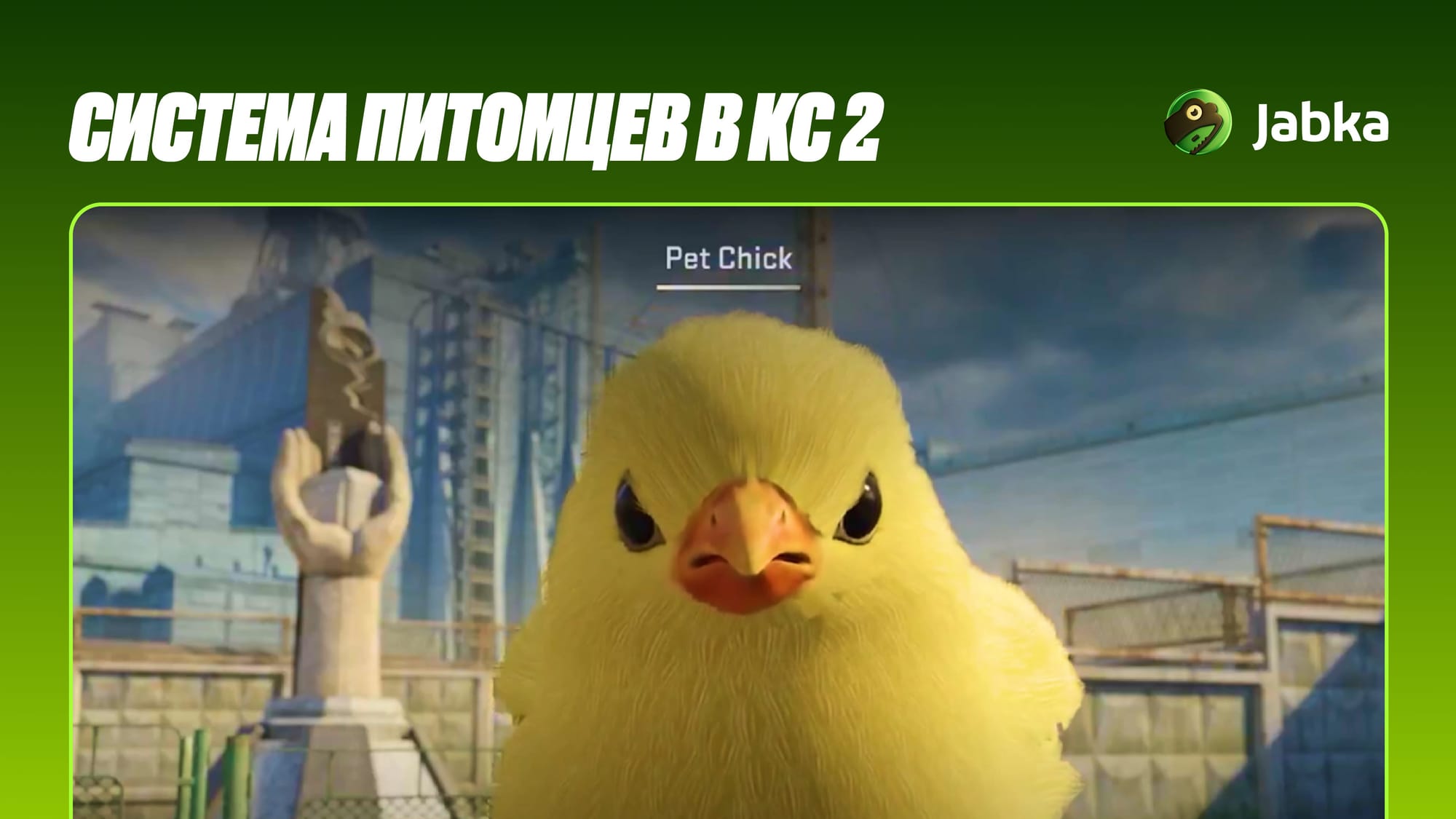Куриные яйца в КС 2