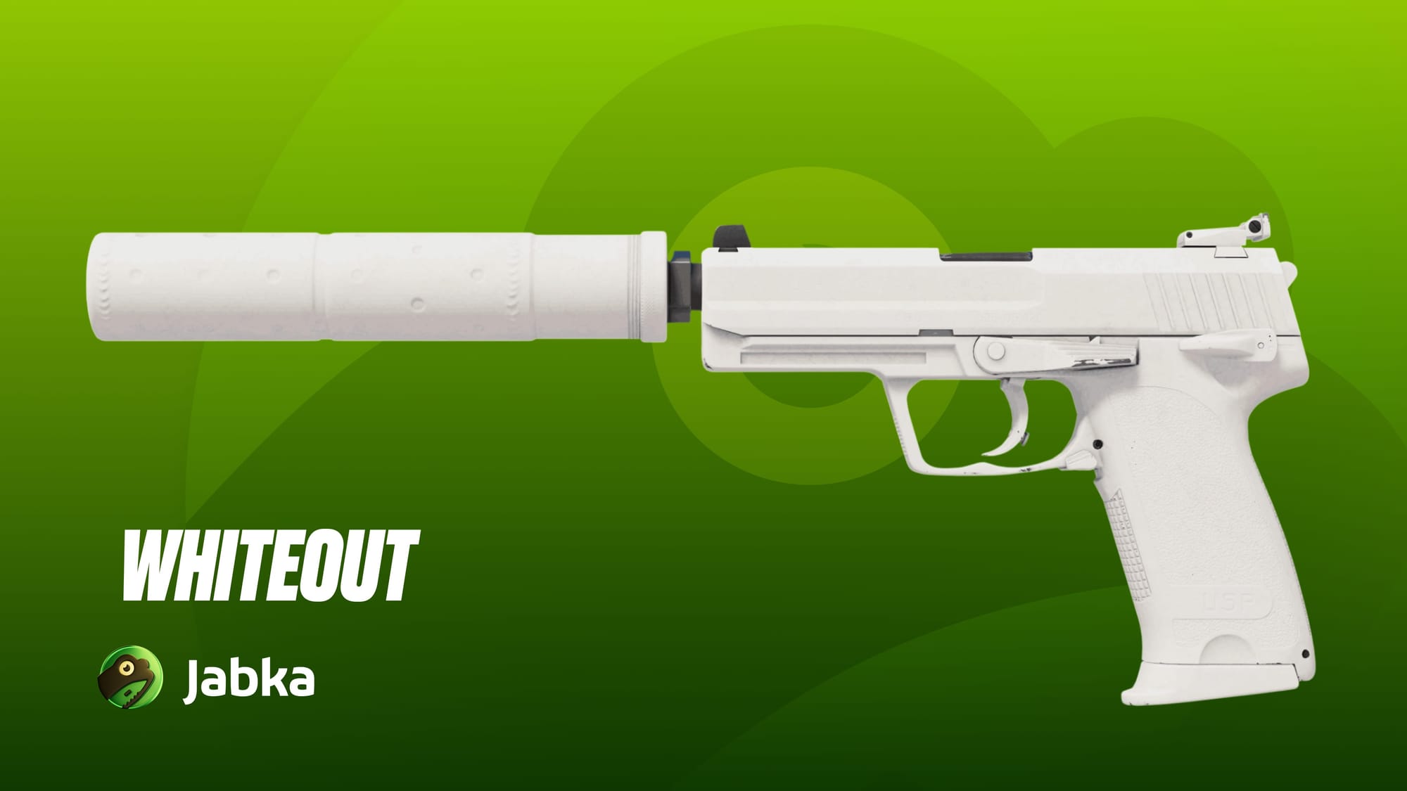 USP-S | Whiteout CS2
