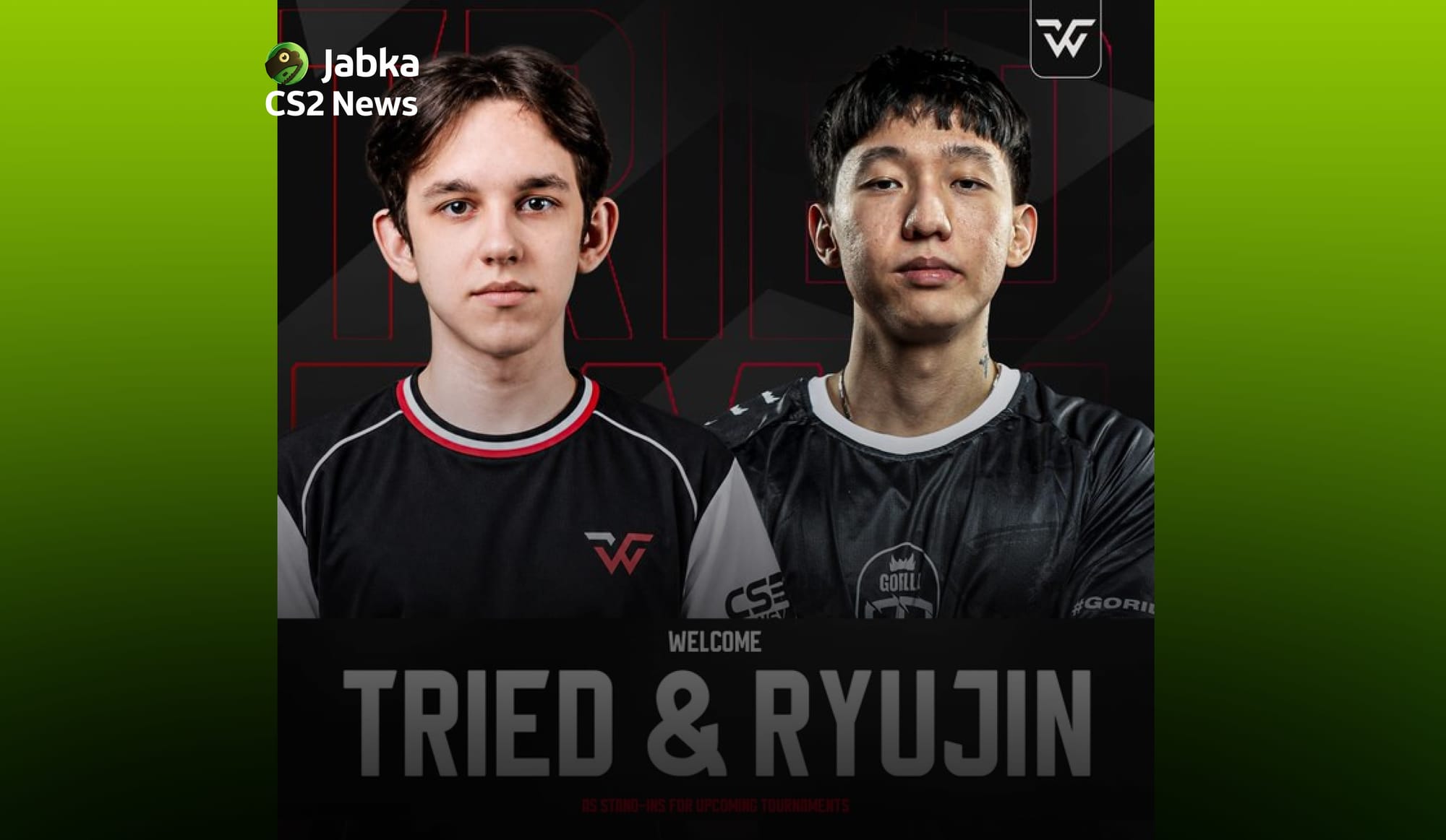 tried и RyuJin стали стендинами WW Team