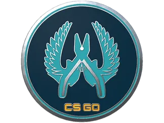 Guardian Pin
