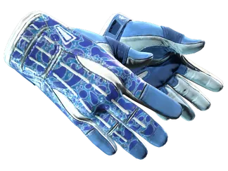 ★ Sport Gloves | Amphibious (Minimal Wear)