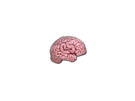 Sticker | CS On The Mind