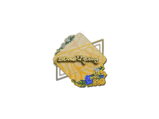 Sticker | sdy | Rio 2022