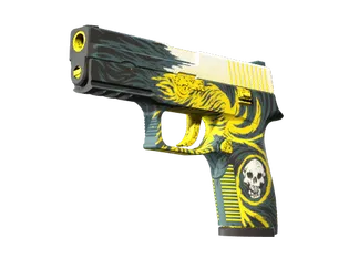 P250 | Wingshot (Minimal Wear)